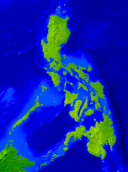 Philippines Vegetation 593x800